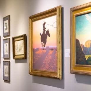 Briscoe Western Art Museum: Entry Ticket