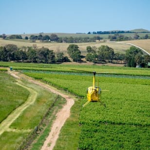 Southern Barossa: Vuelo en helicóptero de 10 minutos