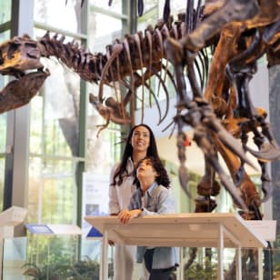Witte Museum: Entry Ticket