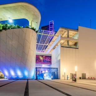 Museo de Ciencias, Acuario y Planetario Phillip & Patricia Frost: boleto de entrada