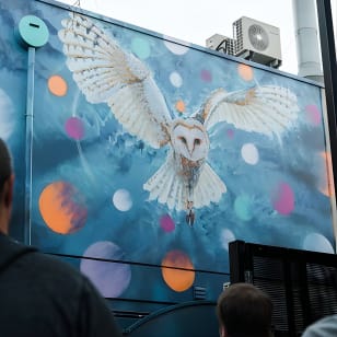 Recorrido a pie por el arte callejero de Jimmy C