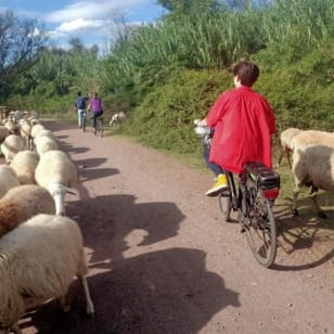 Appia Antica, Acquedotti e Catacombe Roma: Tour in E-Bike