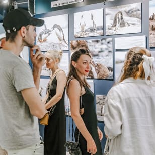 Interactive exhibition on Antarctica by Sergei Potetiunin