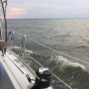 Genieße einen schönen Tag mit Mother Nature Cruises
