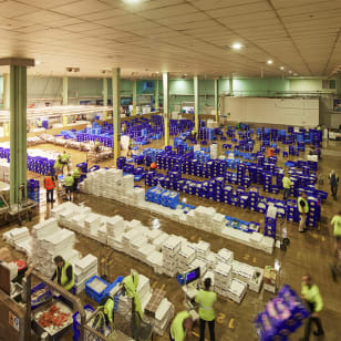 Sydney Fish Market: Behind-the-Scenes Auction Floor Tour