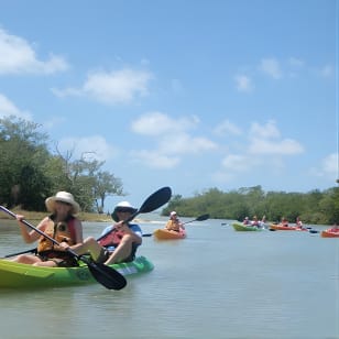 Tour guidato in kayak Eco - Bunche Beach
