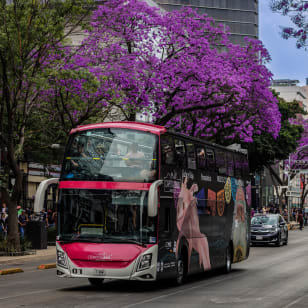 Hop On / Hop Off Tour CDMX