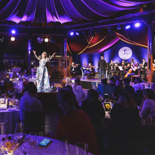 Espectáculo con cena y show de Strauss