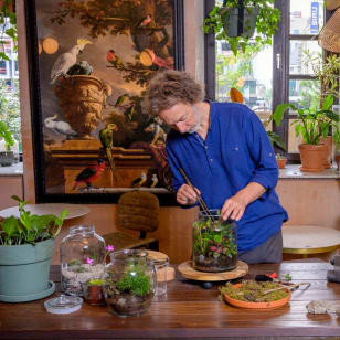 Workshop Terrarium bij de Serra