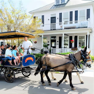 Tour turistico diurno in carrozza trainata da cavalli di Charleston