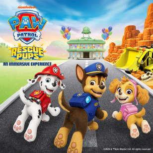PAW Patrol Rescue Pups: Un'esperienza immersiva - Plano