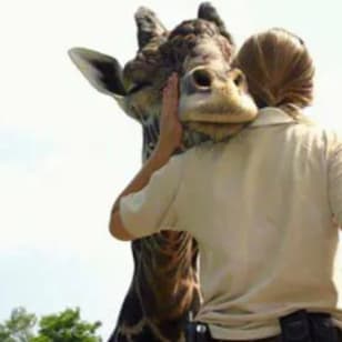 Franklin Park Zoo: Eintrittskarte