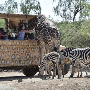 Out of Africa Wildlife Park