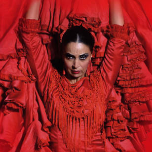 Premium Experience at Flamenco Theater Seville