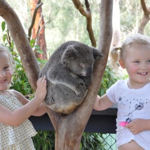 Parque Australiano de Reptiles