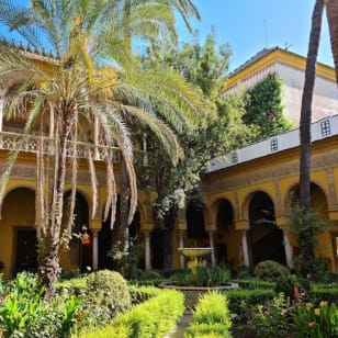 Heritage Seville: Las Setas, La Macarena and Palacio de Dueñas (Tour in English)