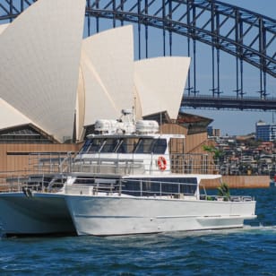 Sydney: crociera avventura di osservazione delle balene