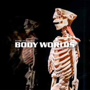 BODY WORLDS: l’anatomia della felicità