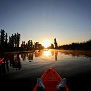 Kayak en Chinampas de Tláhuac: Naturaleza y Sabores Locales