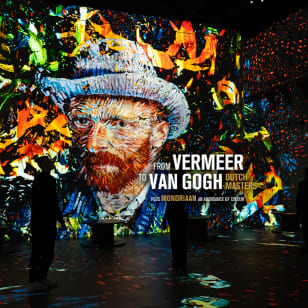 Da Vermeer a Van Gogh, maestri olandesi