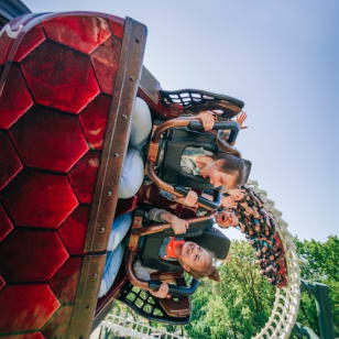 De Efteling: Toegangsticket