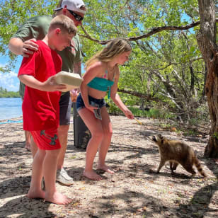 Boat Safari a Raccoon Island