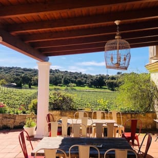 Doña Felisa Winery: Guided tour and wine tasting or lunch