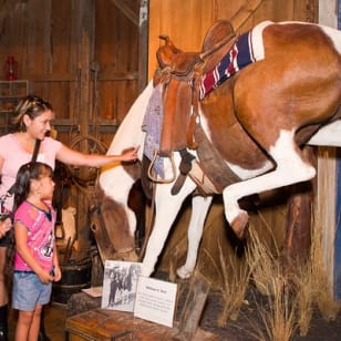 The Buckhorn Saloon & Museum und Texas Ranger Museum Einlass