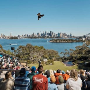Taronga Zoo Sydney: Entrada
