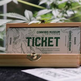 Museo della Cannabis ad Amsterdam: biglietto d'ingresso + guida audio