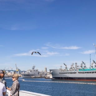 San Diego Harbor : croisière 2 heures avec guide en direct
