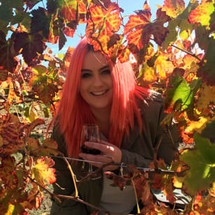 Swan Valley Winery Experience Full Day Coach Tour