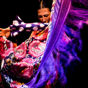 Flamenco Dance Museum: Show only