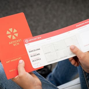 Barcelona Museum Pass - Articket: No queues