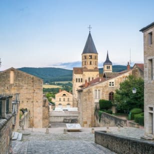 Abbaye et musée de Cluny : Billet d'entrée