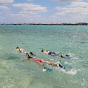 Miami: Tour de Snorkeling en SUP o Kayak
