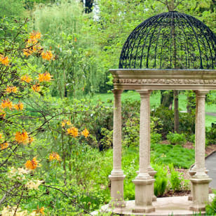 Mystery Picnic a Kennett Square: un'avventura foodie autoguidata