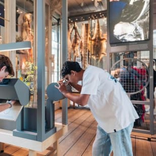 ARTIS Groote Museum: Toegangsticket