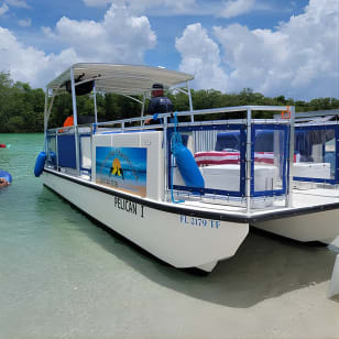 Tour in barca privata fino a 12 persone Fort Myers Beach e Sanibel