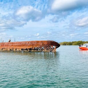 Crucero de 90 minutos por el río Port para ver delfines y el cementerio de barcos