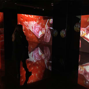 Tasting and visit to the Nougat and Chocolate Museum