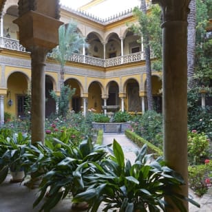 Visit the Palacio de las Dueñas with audio guide and without queues!
