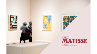 Visita comentada adaptada: Chez Matisse 1