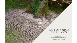 Instalación participativa con Lluís Sabadell 1