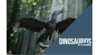 ¿Realmente extintos? Dinosaurios terópodos y la transición hacia las aves 1
