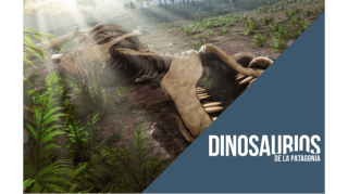 El fin de una gran dinastía: Los últimos dinosaurios de la Tierra 1