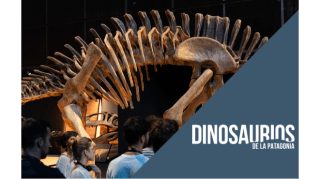 Visita comentada: Dinosaurios de la Patagonia 1