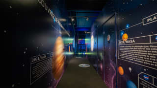 SCIENCE EXPERIENCES