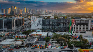 Wynwood Walls