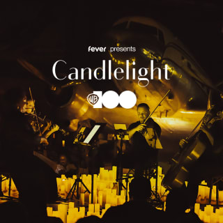 Candlelight: 100 Years of Warner Bros. 2